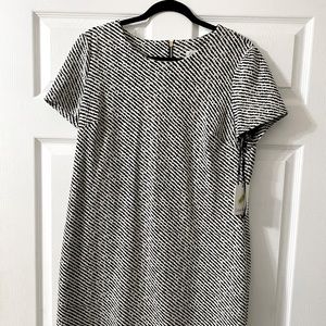 Size 14 knee length NWT Calvin Klein Dress